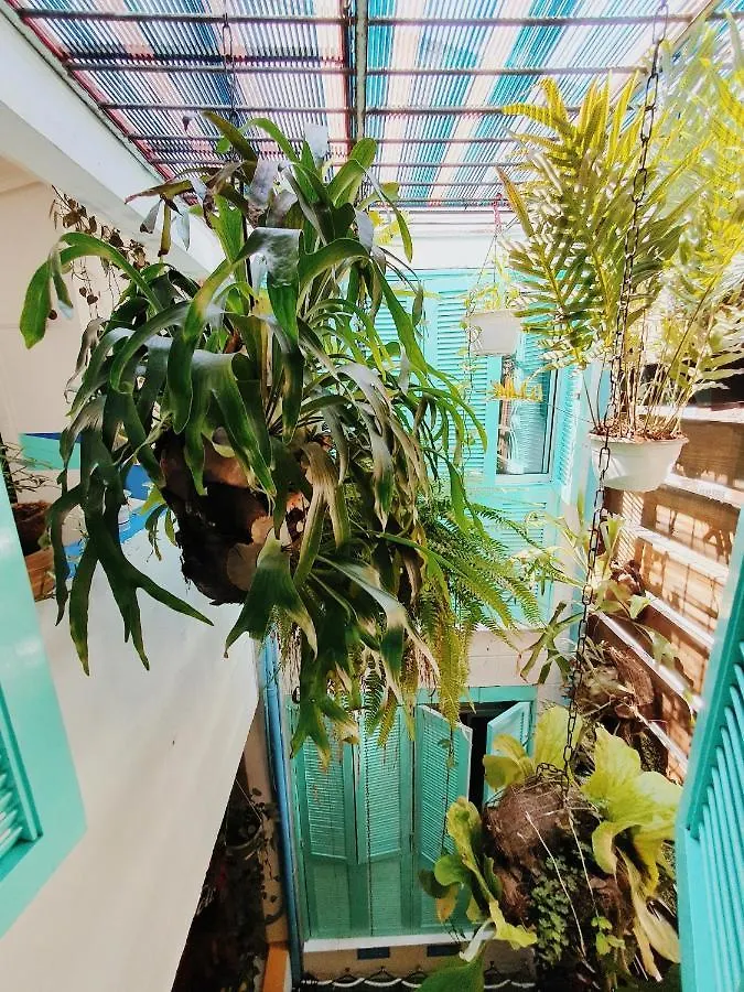 מדיין La Playa Hostel & Rooftop קולומביה
